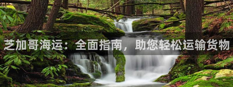 欢迎来到公海
