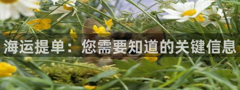 欢迎公海来到赌船710_首页(欢迎您)
