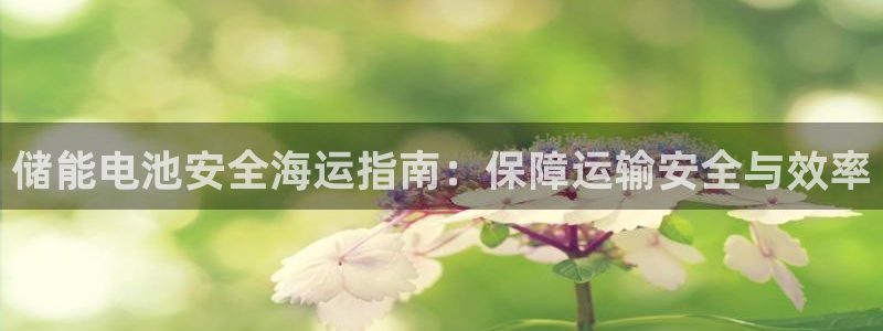 欢迎来公海欢迎来赌船!