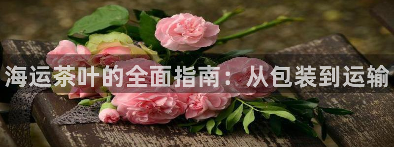 公海赌赌船官网真的