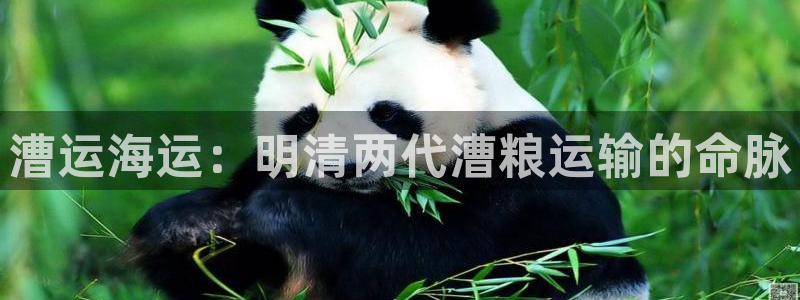 公海欢迎来到赌船