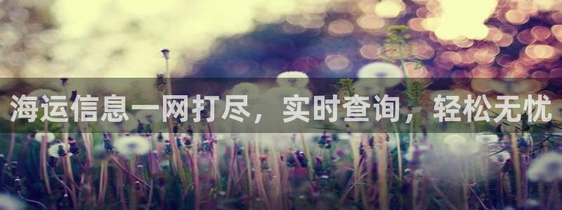 公海赌博为什么没人管