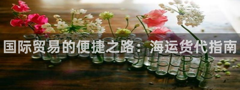 公海赌博怎么处理
