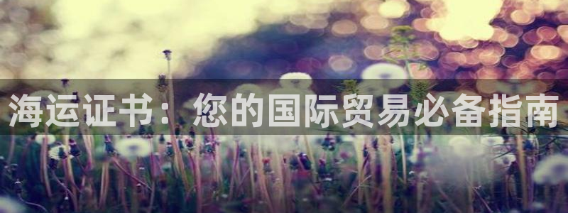 欢迎您来到公海