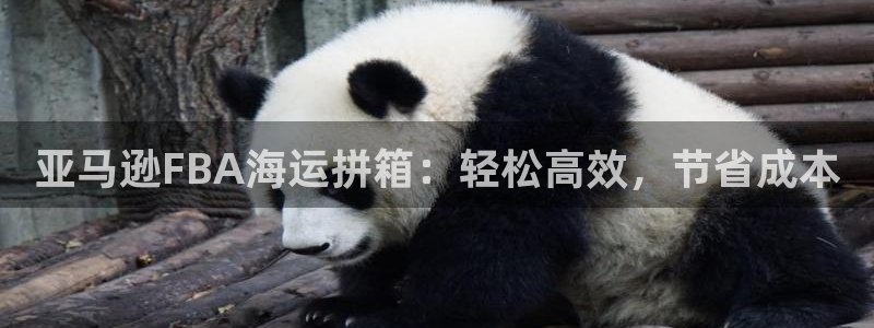 在公海赌博犯法吗