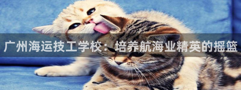 公海赌赌船官网jc7