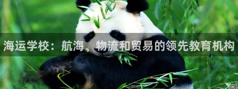 欢迎来到公海.欢迎来到赌船