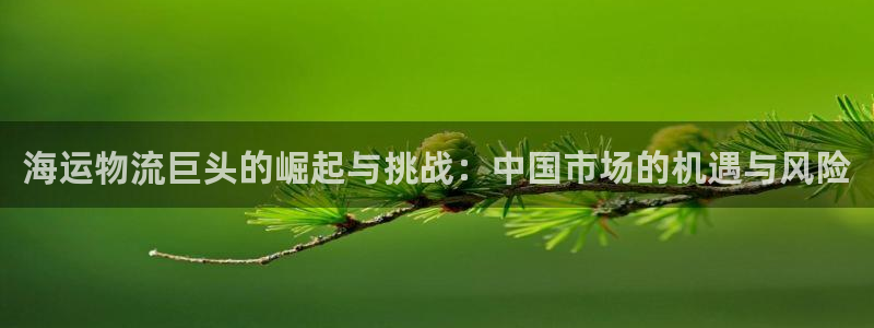 欢迎你来到 公主的海岛