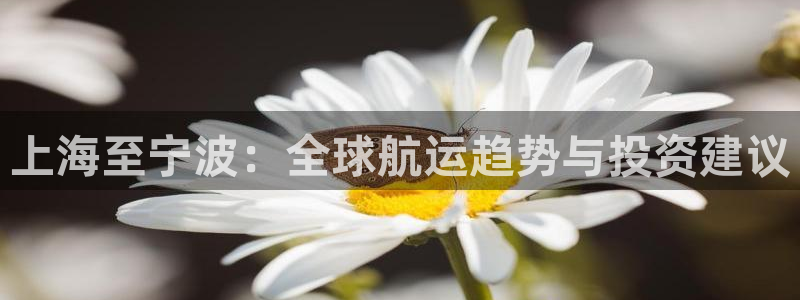 欢迎您来到公海客服