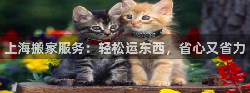 欢迎来到海边