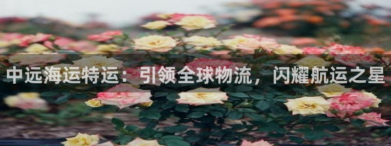 公海 赌船710手机版下载