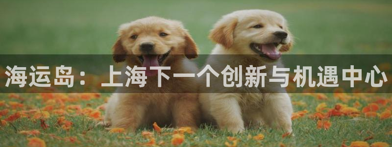 欢迎来到公海欢迎来到赌船