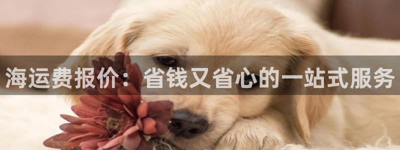 欢迎登船