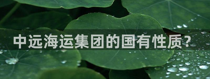 公海赌船官方