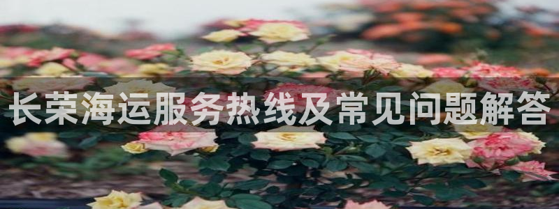 欢迎来到公海