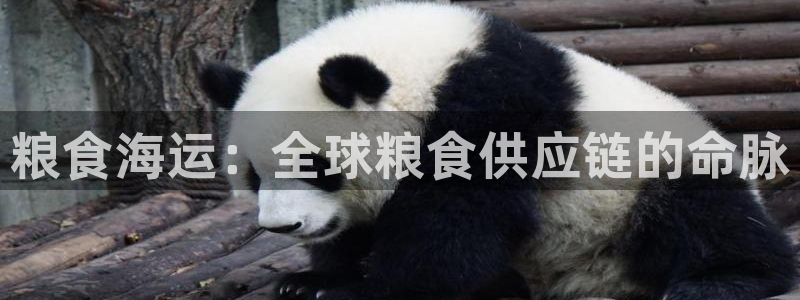 欢迎公海来到赌船710_首页(欢迎您)