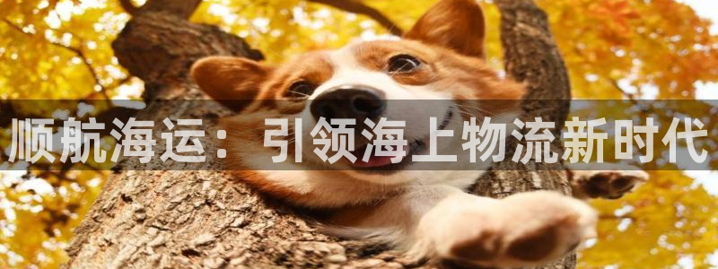 欢迎您来到公海欢迎来到赌船