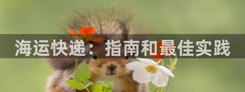 公海 赌船710手机版下载